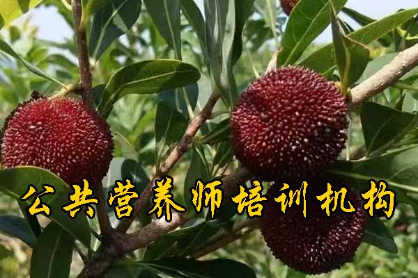 合肥公共营养师培训班多少钱