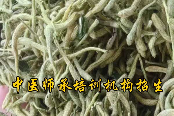 南京师承中医培训机构学费多少