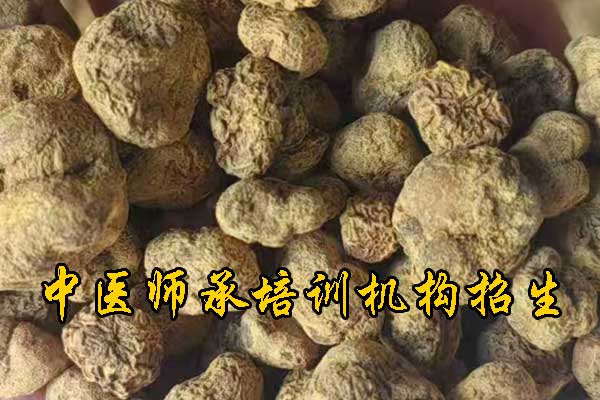 杭州师承中医培训多少钱