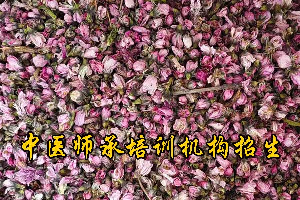 沈阳师承中医培训机构学费多少