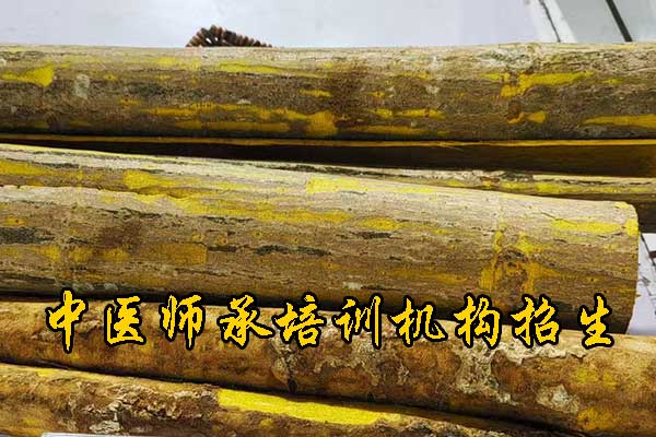 长春师承中医培训多少钱