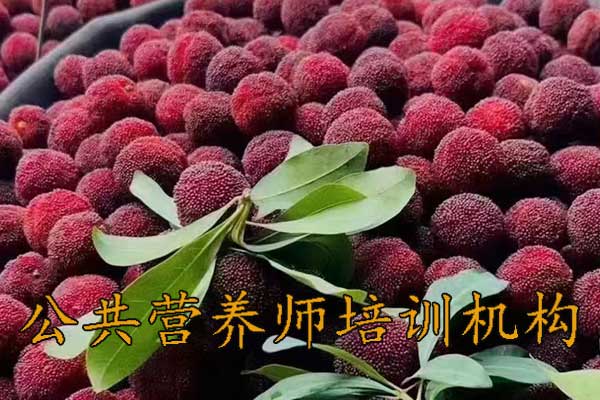 广州公共营养师培训机构哪家好