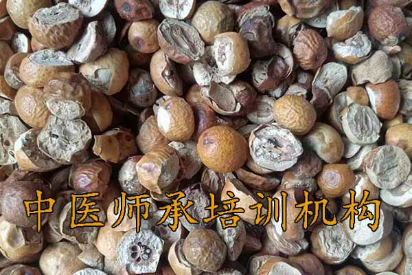 合肥师承中医培训学校学费