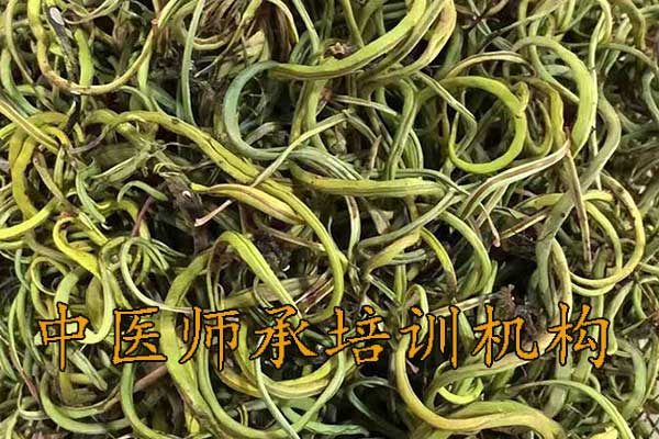 福州师承中医培训机构学费多少