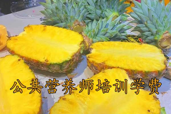成都公共营养师培训需要多少钱