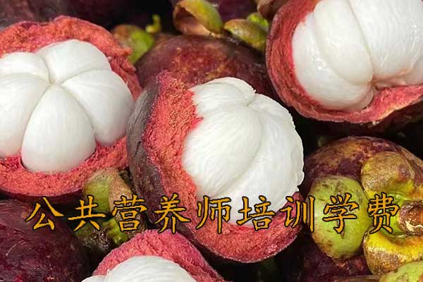 拉萨公共营养师培训机构哪家好