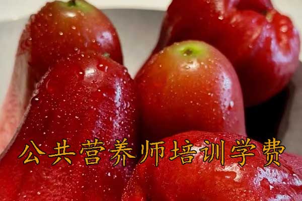 兰州公共营养师培训报名培训费用