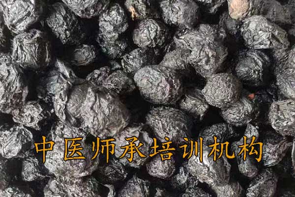 郑州师承中医培训机构学费多少