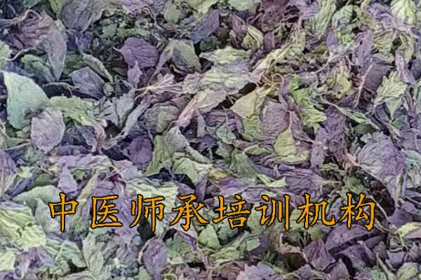 武汉师承中医培训多少钱