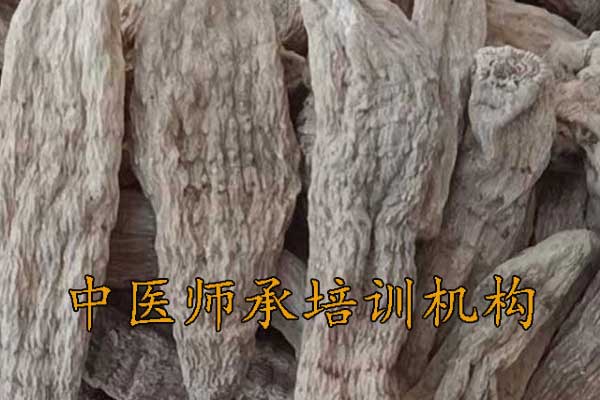 长沙师承中医培训学校学费