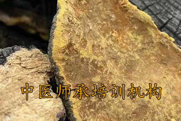 广州师承中医培训机构学费多少