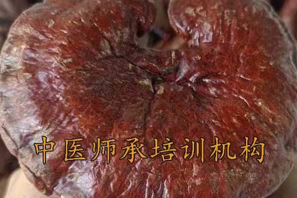 南宁师承中医培训多少钱