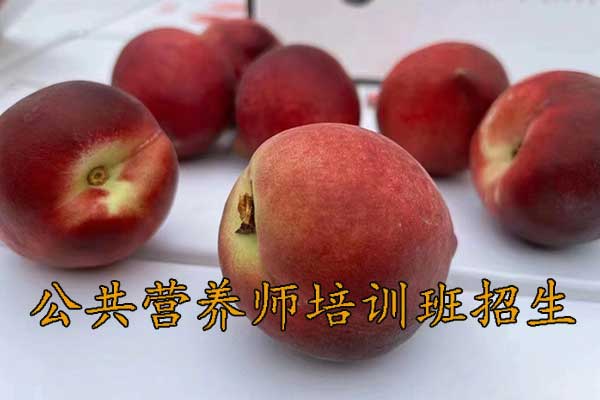 西宁公共营养师培训需要多少钱