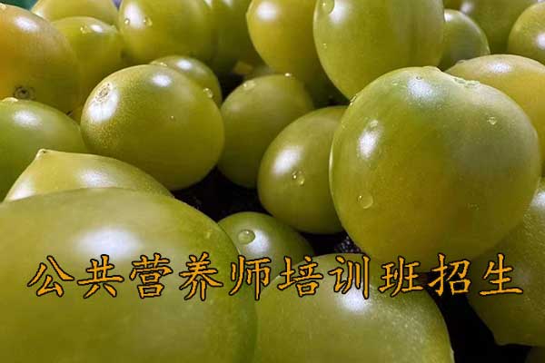 银川公共营养师培训哪家好