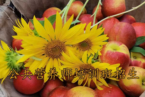 东莞公共营养师培训班多少钱