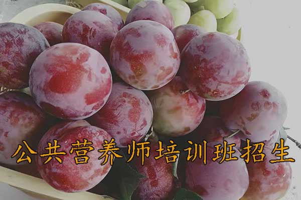 大连公共营养师培训班多少钱