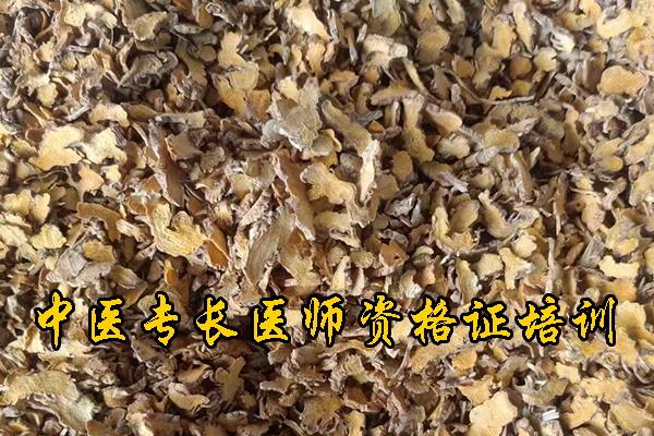 淄博中医专长医师资格证考试培训