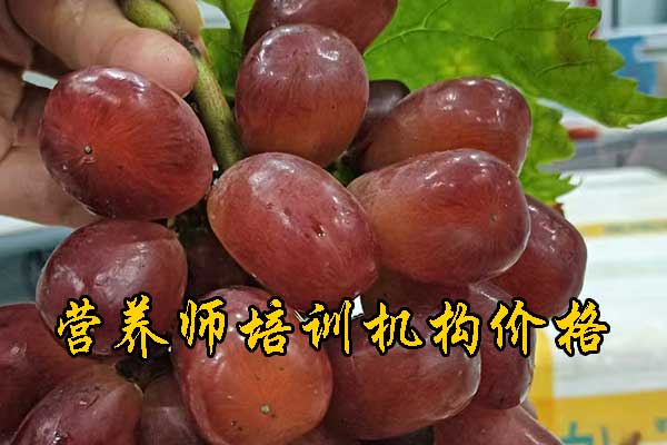 珠海公共营养师培训需要多少钱