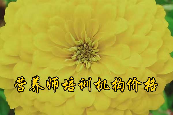 中山公共营养师培训哪家好