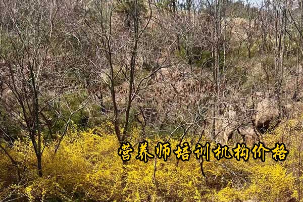 汕头公共营养师培训需要多少钱