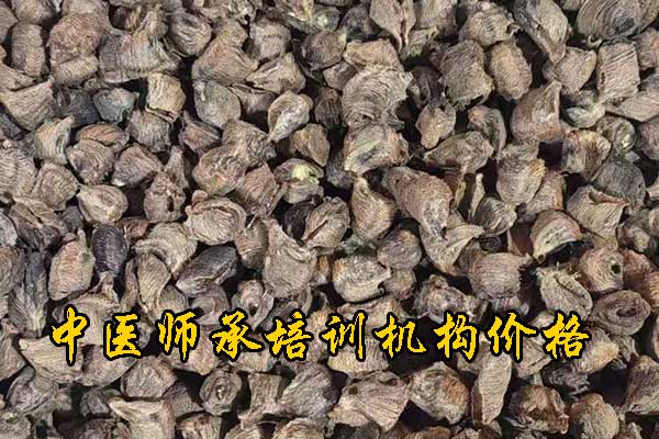 江西师承中医培训机构学费多少