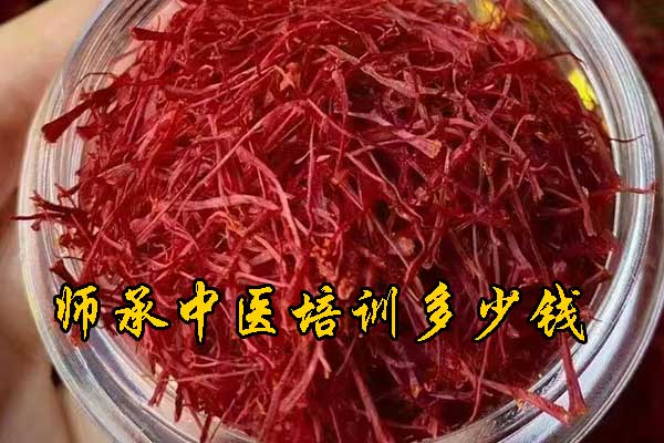 四川师承中医培训机构学费多少