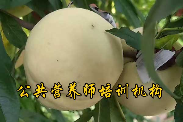 唐山公共营养师培训机构哪家好
