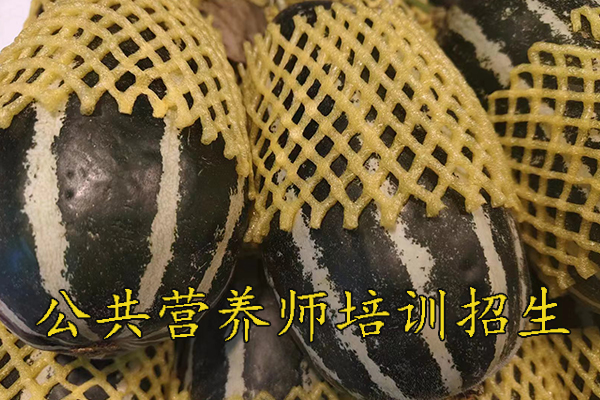 芜湖公共营养师培训哪家好