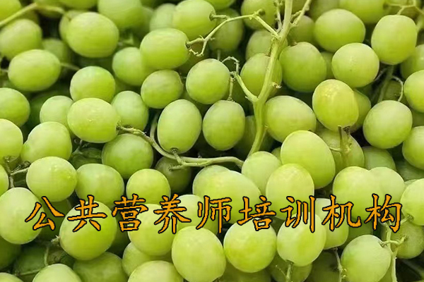 揭阳公共营养师培训机构哪家好
