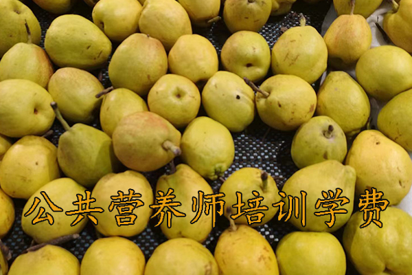 遵义公共营养师培训报名培训费用