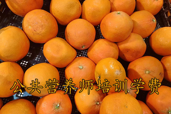 江门公共营养师培训需要多少钱