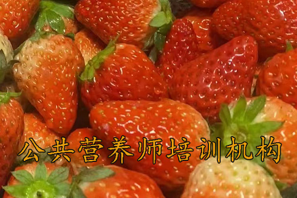 淮安公共营养师培训报名培训费用