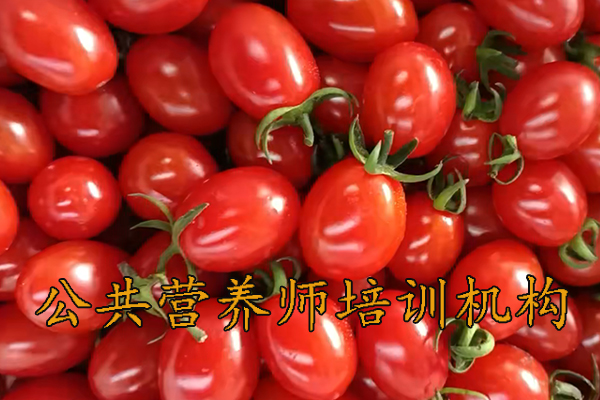 连云港公共营养师培训需要多少钱