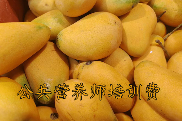 大庆公共营养师培训报名培训费用