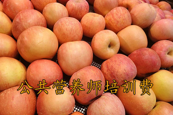 沧州公共营养师培训需要多少钱