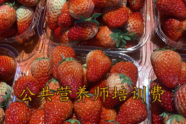 信阳公共营养师培训哪家好