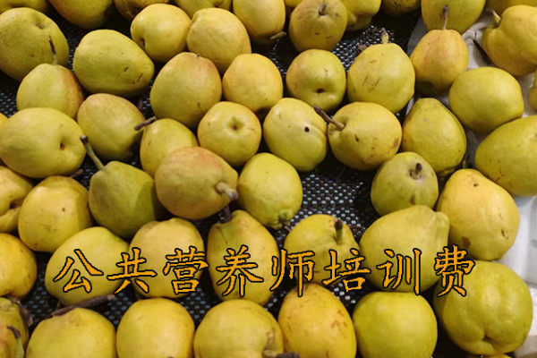 岳阳公共营养师培训班多少钱