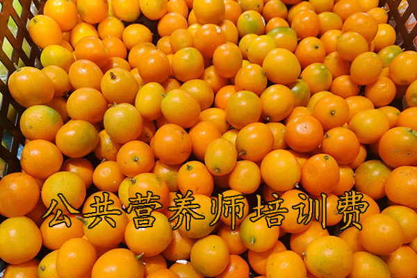 商丘公共营养师培训机构哪家好