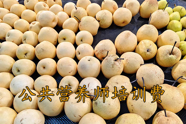 肇庆公共营养师培训中心管报名吗