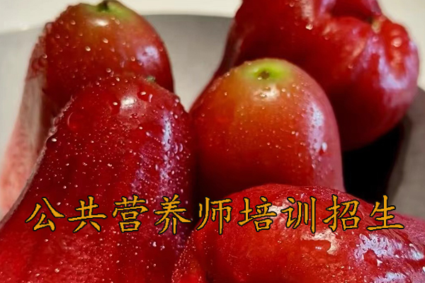 荆州公共营养师培训班多少钱