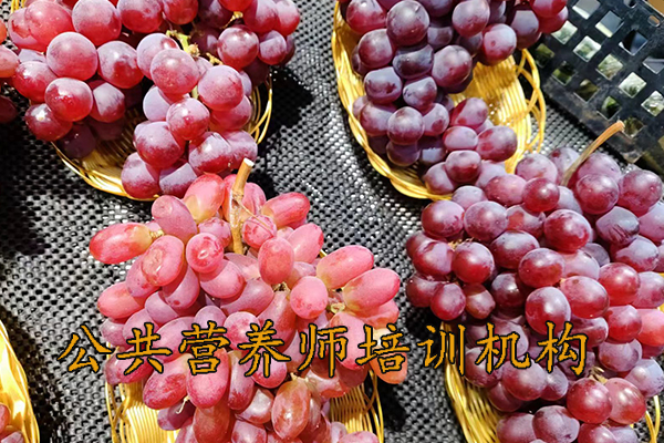 蚌埠公共营养师培训机构哪家好