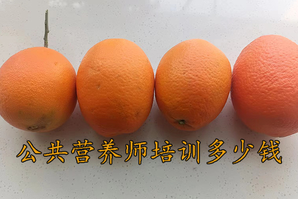 泰安公共营养师培训班多少钱