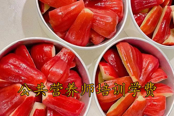 郴州公共营养师培训报名培训费用