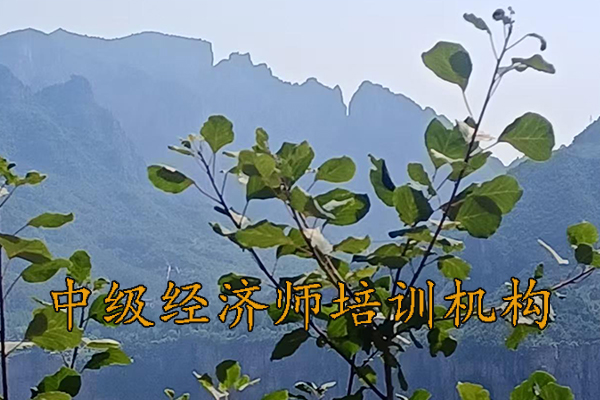 杭州中级经济师培训哪家好