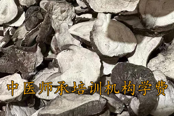 荆门中医师承培训多少钱