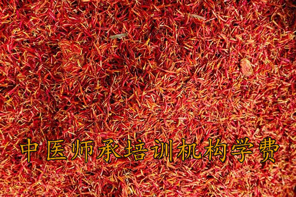 滁州中医师承培训机构学费多少