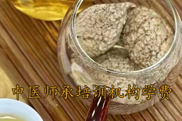 龙岩中医师承培训多少钱