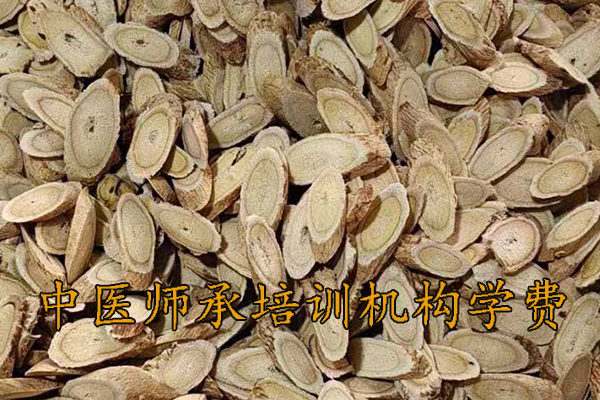 荆州中医师承培训价格