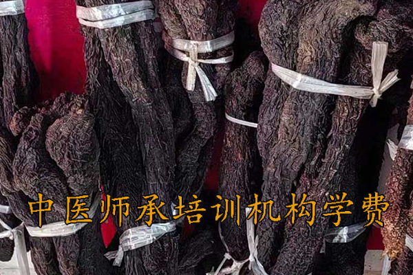 蚌埠中医师承3年5年培训费用