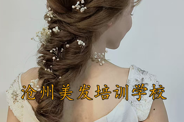 沧州学美发排名靠前的机构